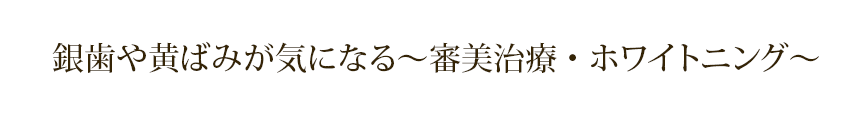 銀歯や黄ばみが気になる～審美治療・ホワイトニング～