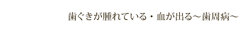 歯ぐきが腫れている・血が出る～歯周病～